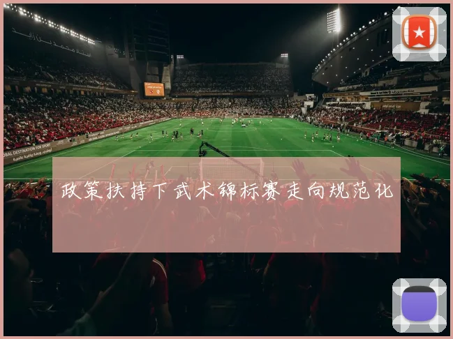 政策扶持下武术锦标赛走向规范化