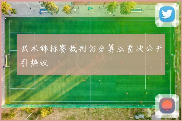 武术锦标赛裁判打分算法首次公开引热议