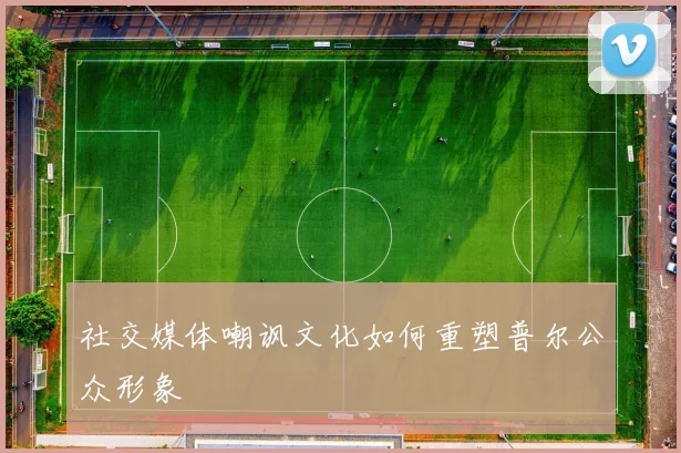 社交媒体嘲讽文化如何重塑普尔公众形象