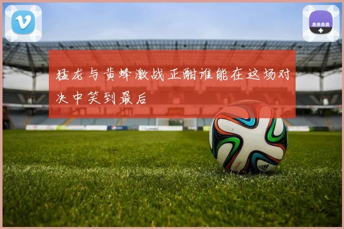 猛龙与黄蜂激战正酣谁能在这场对决中笑到最后