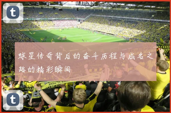 球星传奇背后的奋斗历程与成名之路的精彩瞬间