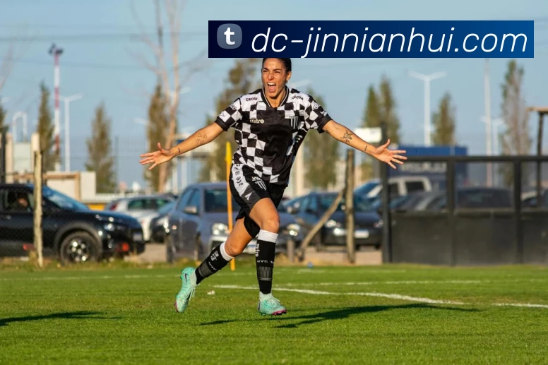 jinnianhui发展历程